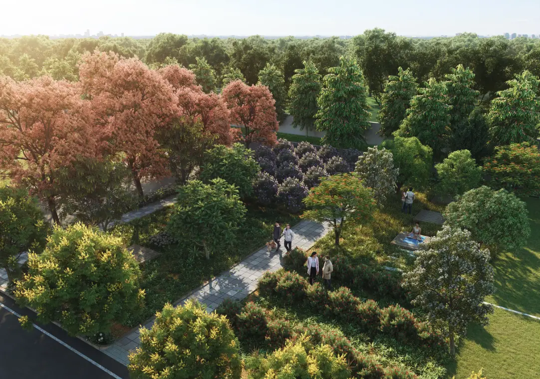 TVS Emerald Lake Shore